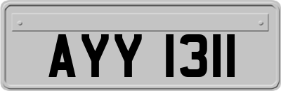 AYY1311