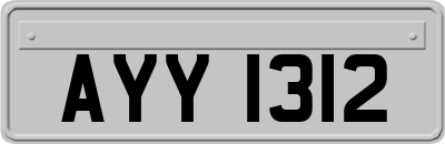 AYY1312