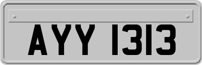 AYY1313