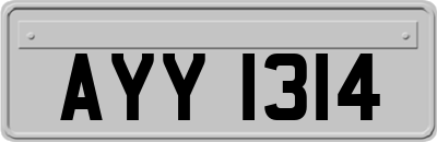 AYY1314