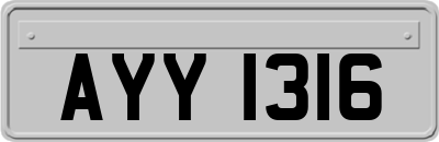 AYY1316