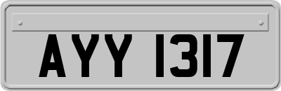 AYY1317