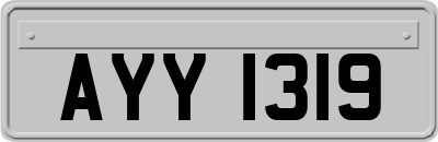 AYY1319