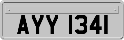 AYY1341
