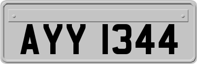 AYY1344
