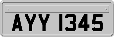 AYY1345