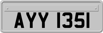 AYY1351