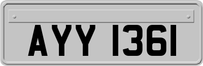 AYY1361