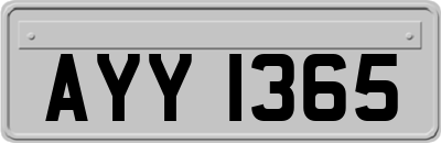 AYY1365