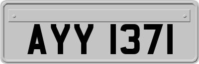 AYY1371