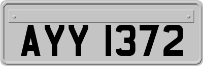 AYY1372