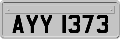 AYY1373