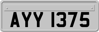 AYY1375
