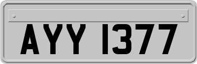 AYY1377