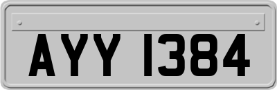 AYY1384