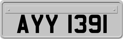 AYY1391