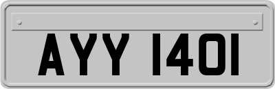 AYY1401