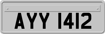 AYY1412