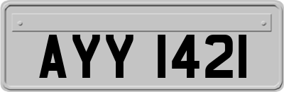 AYY1421