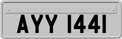 AYY1441