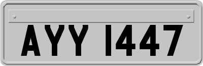 AYY1447