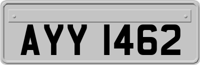 AYY1462