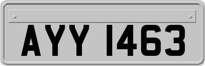 AYY1463