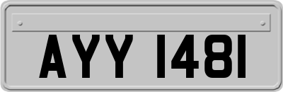 AYY1481