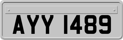 AYY1489