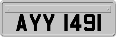 AYY1491