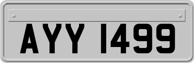 AYY1499