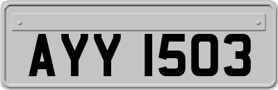 AYY1503