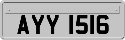 AYY1516