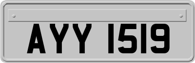 AYY1519