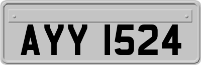 AYY1524