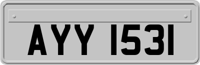 AYY1531