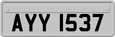 AYY1537