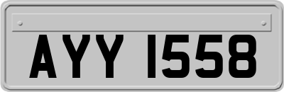 AYY1558