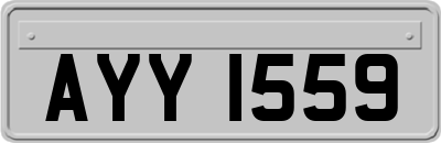 AYY1559