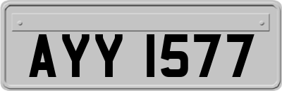 AYY1577