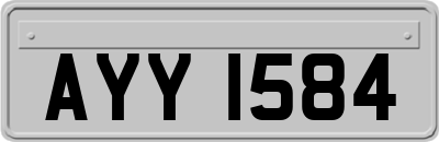 AYY1584