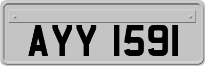 AYY1591