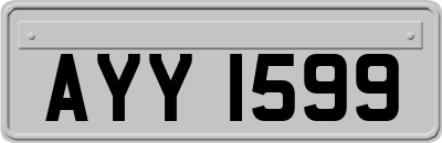 AYY1599