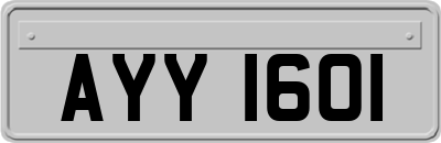 AYY1601