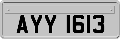 AYY1613