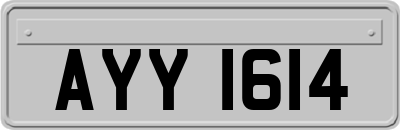 AYY1614
