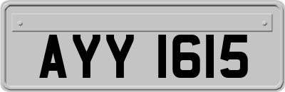 AYY1615