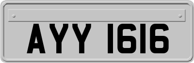 AYY1616