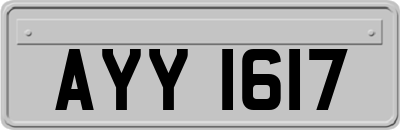 AYY1617