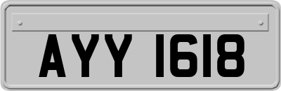 AYY1618